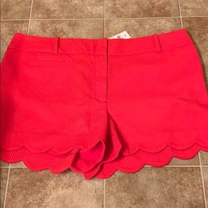 NWT Loft scalloped hem shorts